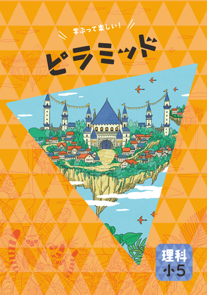 ピラミッド　理５年